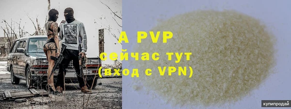 a pvp Абаза